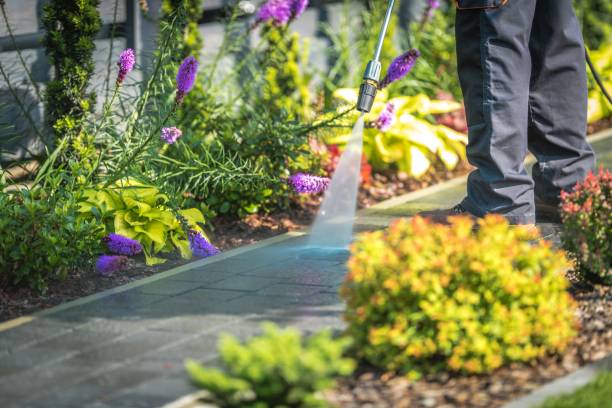 Best Dumpster Area Cleaning  in Hillsboro, WI